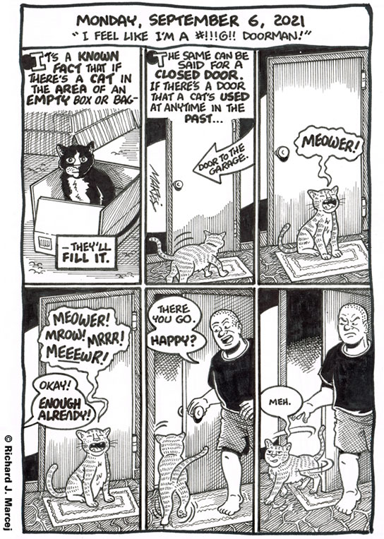 Daily Comic Journal: September 6, 2021: “I Feel Like I’m A #!!!@!! Doorman!”