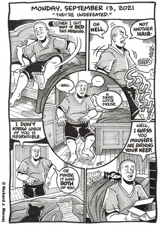 Daily Comic Journal: September 13, 2021: “They’re Undefeated.”