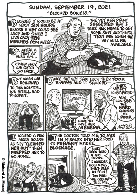 Daily Comic Journal: September 19, 2021: “Blocked Bowels.”