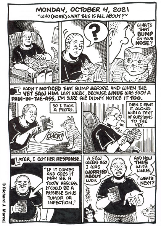 Daily Comic Journal: October 4, 2021: “Who (Nose) What This Is All About?”