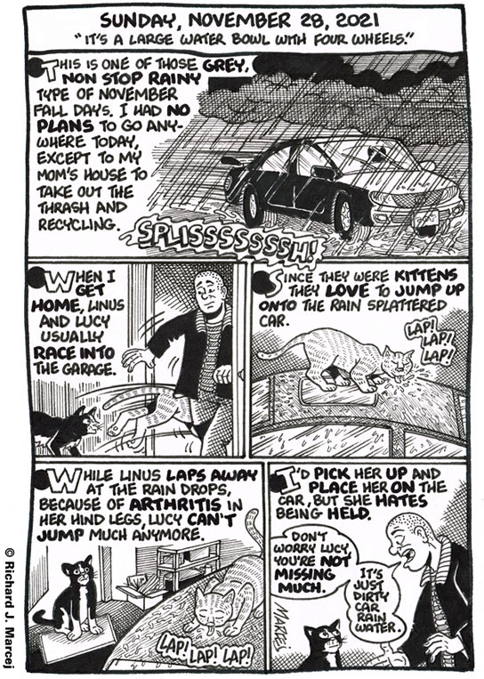 Daily Comic Journal: November 28, 2021: “It’s A Large Water Bowl With Four Wheels.”