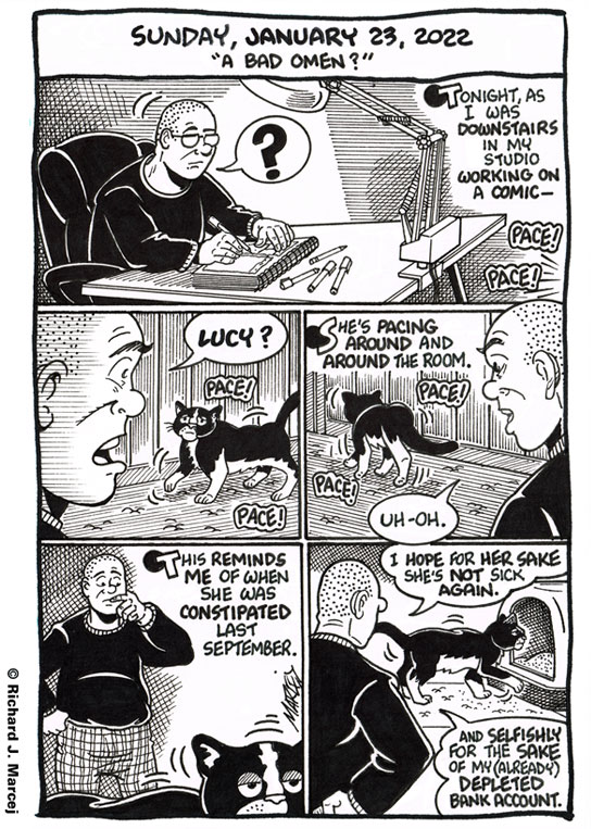 Daily Comic Journal: January 23, 2022: “A Bad Omen?”