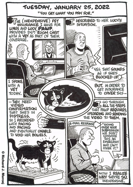 Daily Comic Journal: January 25, 2022: “You Get What You Pay For.”