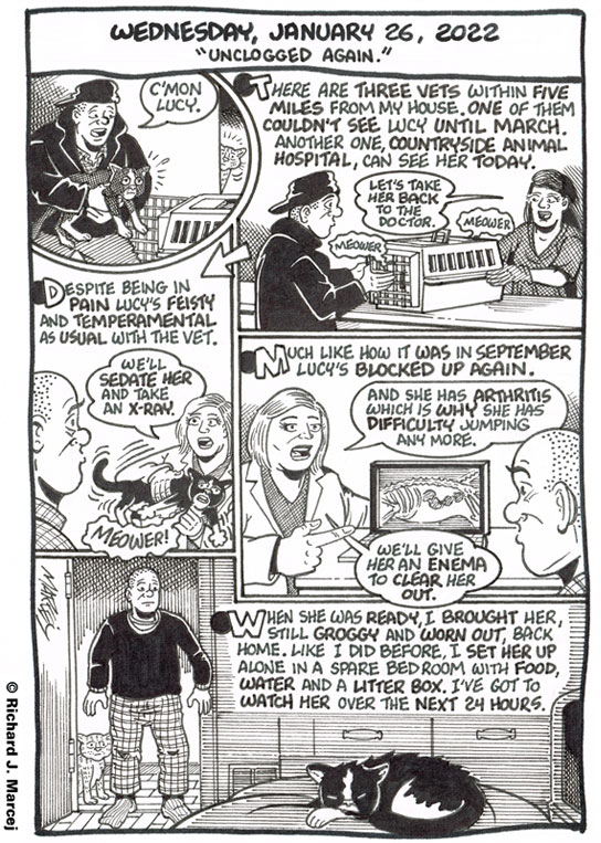 Daily Comic Journal: January 26, 2022: “Unclogged Again.”