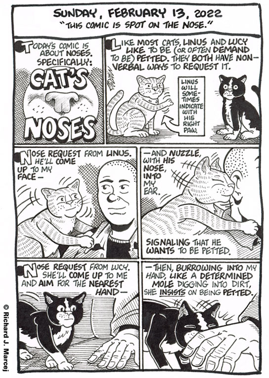 Daily Comic Journal: February 13, 2022: “This Comic Is Spot On The Nose.”