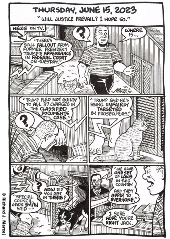 Daily Comic Journal: June 15, 2023: “Will Justice Prevail? I Hope So.”