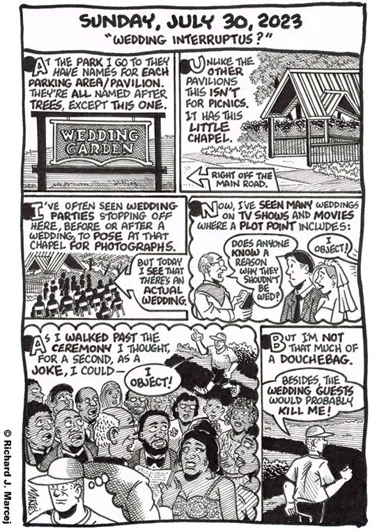 Daily Comic Journal: July 30, 2023: “Wedding Interruptus.”