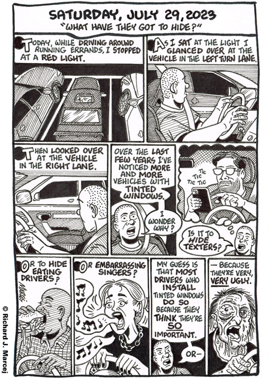 Daily Comic Journal: July 29, 2023: “What Have They Got To Hide?”