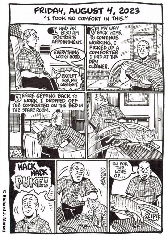 Daily Comic Journal: August 4, 2023: “I Took No Comfort In This”