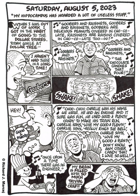 Daily Comic Journal: August 5, 2023: “My Hippocampus Has Hoarded A Lot Of Useless Stuff.”