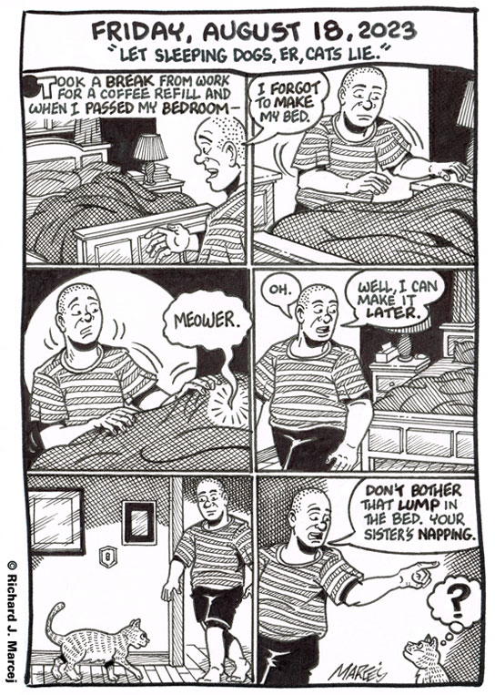Daily Comic Journal: August 18, 2023: Let Sleeping Dogs, Er, Cats Lie.”