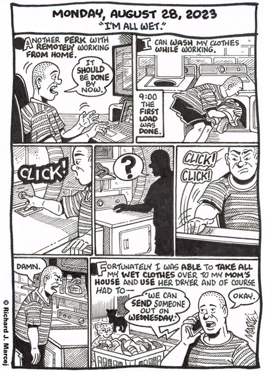 Daily Comic Journal: August 28, 2023: “I’m All Wet.”