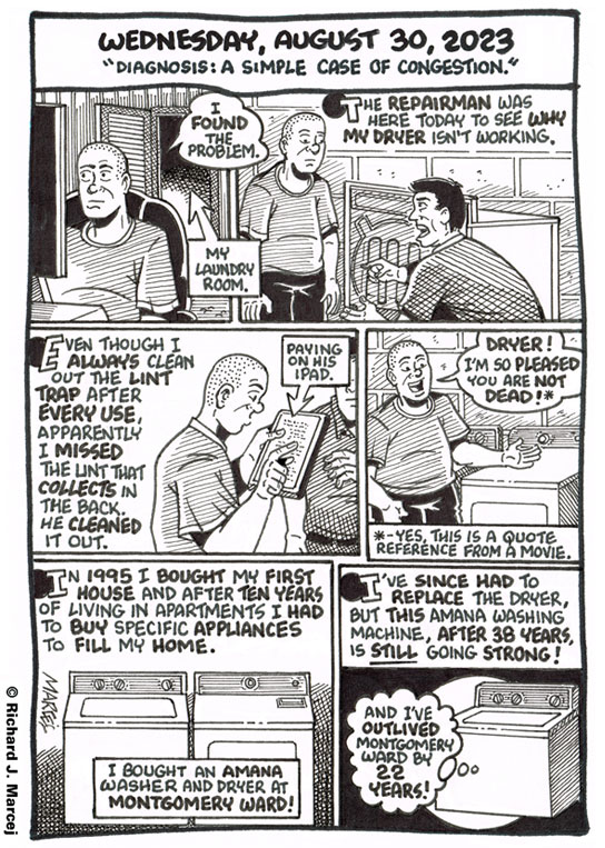 Daily Comic Journal: August 30, 2023: “Diagnosis: A Simple Case of Congestion.”
